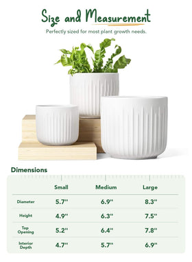 LE TAUCI mesh pad supports airflow around plant roots