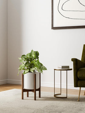 complete planter set featuring planter and wooden stand