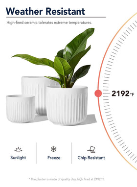 LE TAUCI sturdy stoneware offers weight and durability