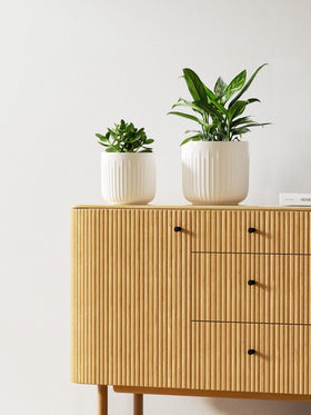 LE TAUCI white-glaze fluted design enhances contemporary interiors