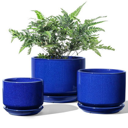 LE TAUCI sapphire blue ceramic pot with drainage hole for healthy indoor watering