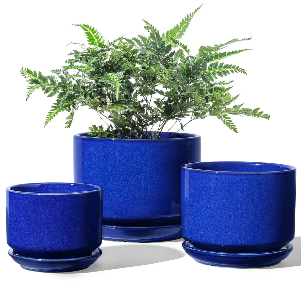 LE TAUCI sapphire blue ceramic pot with drainage hole for healthy indoor watering