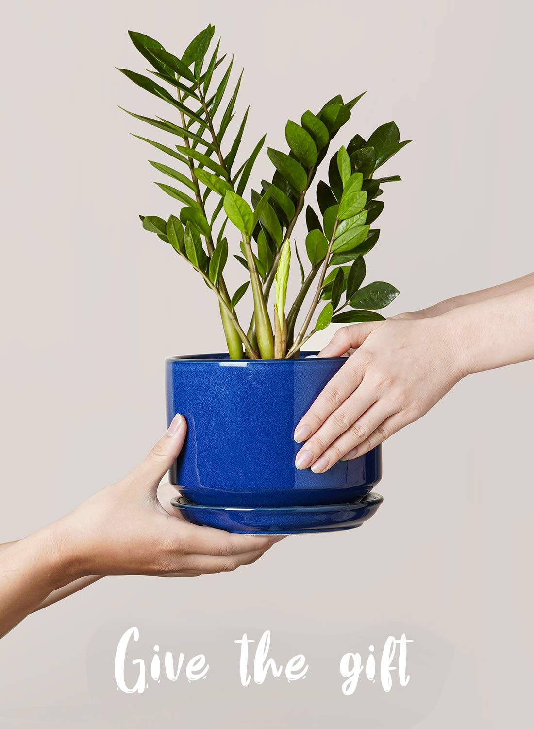 LE TAUCI stacked set complements windowsill or shelf decor