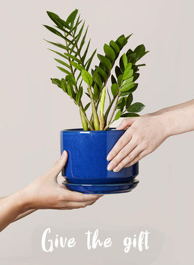 LE TAUCI stacked set complements windowsill or shelf decor