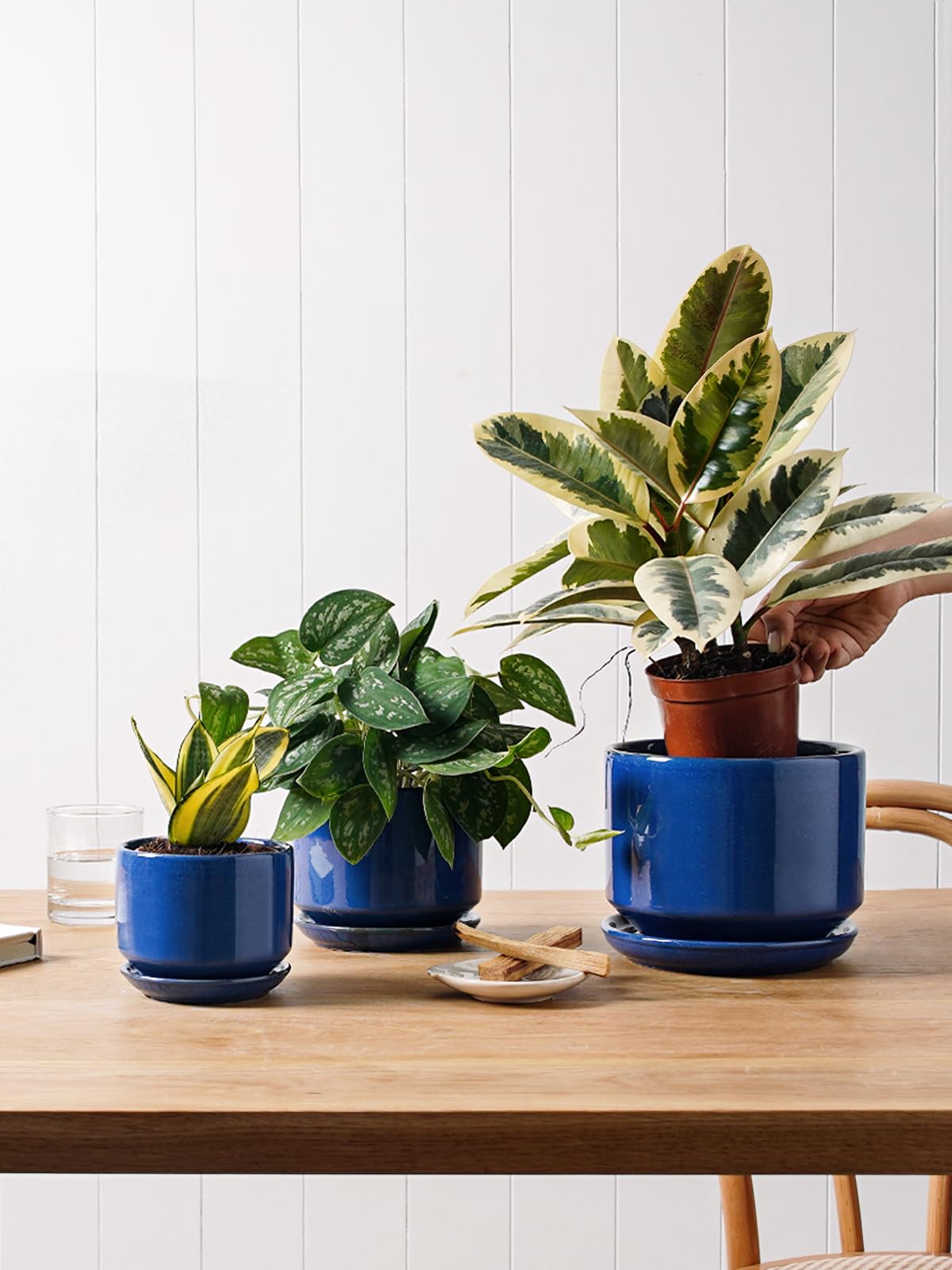 LE TAUCI 4.3-inch pot ideal for small succulents and herbs