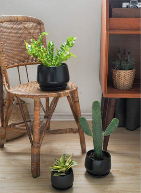 LE TAUCI drip pan and drainage net keep pots tidy when watering.