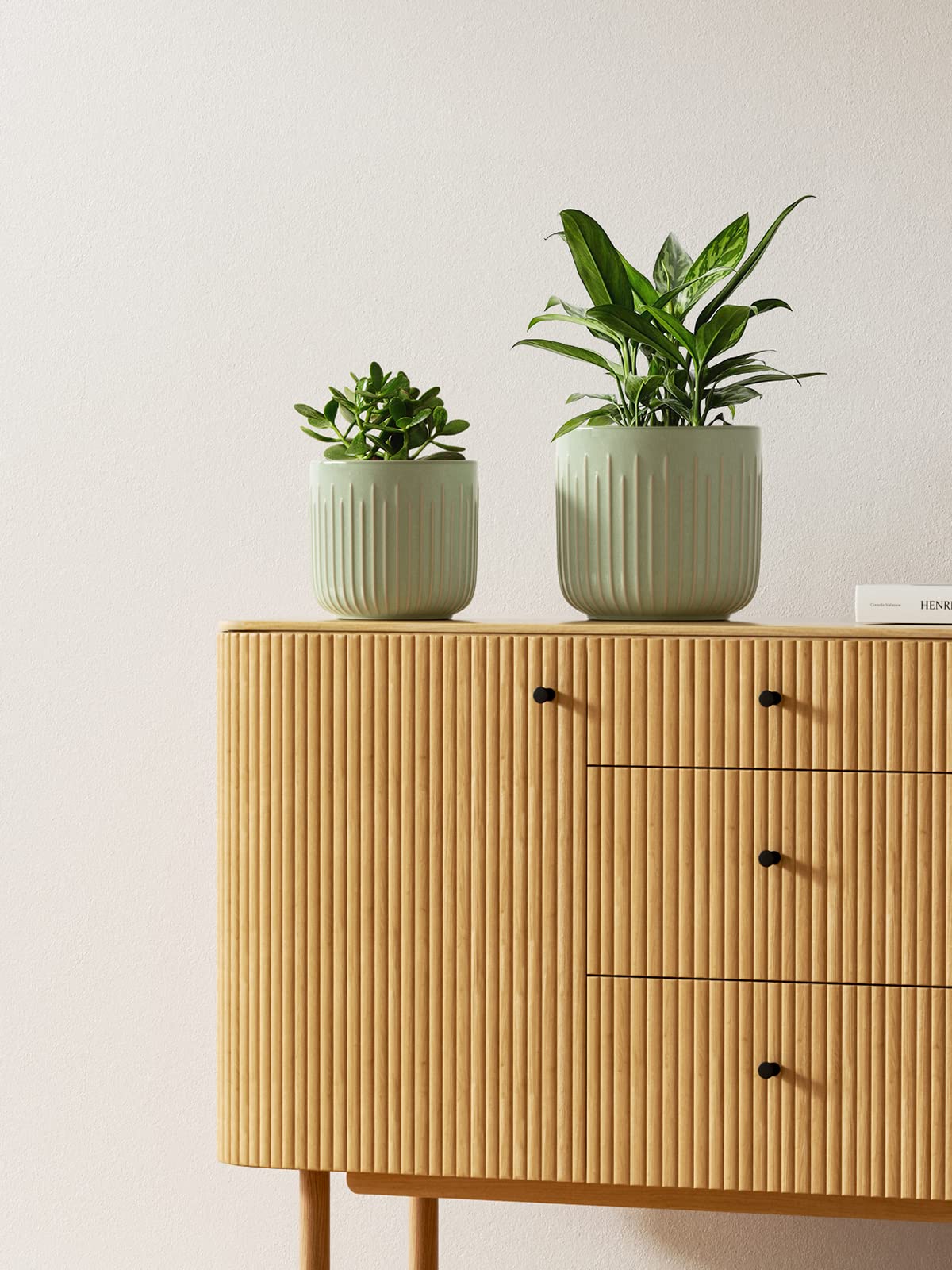 LE TAUCI sturdy stoneware pot supports long-term indoor use