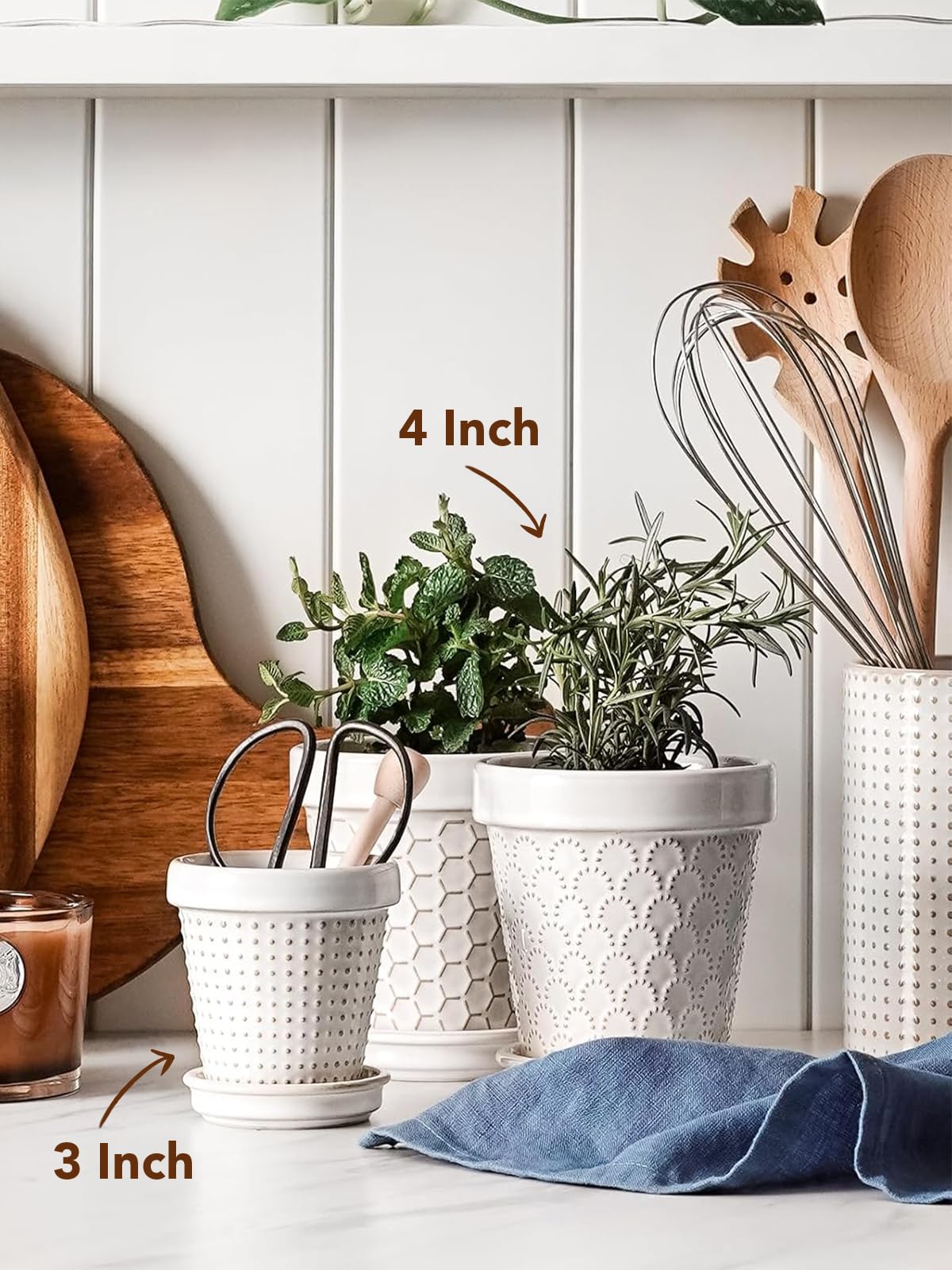 LE TAUCI mini pot on windowsill showcases small succulents elegantly