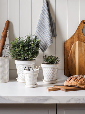 LE TAUCI succulent pot in Arctic White for compact plant styling.