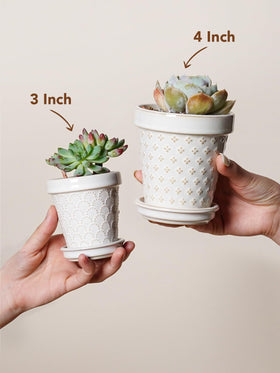 LE TAUCI compact pot set is ideal for mini gardens.
