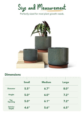LE TAUCI three-piece pot set displayed together for coordinated decor
