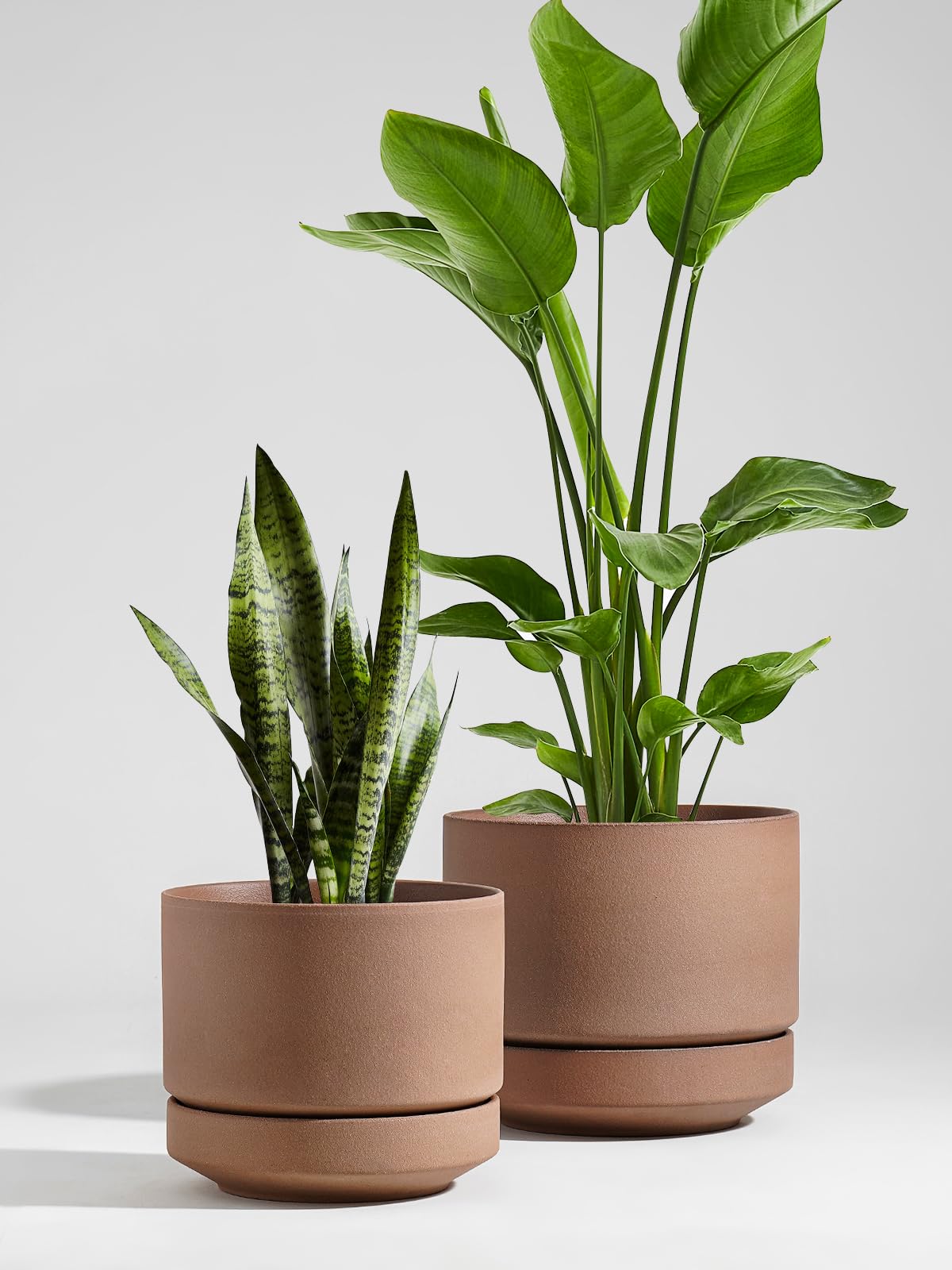 LE TAUCI unglazed porous clay surface promotes air circulation for roots.