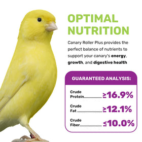 Vitamin-coated LEACH Canary Plus seeds for immune support and vitality