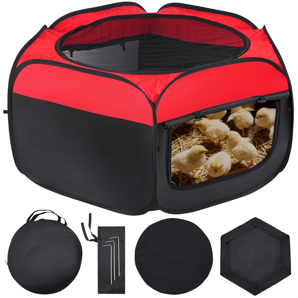 Leadinor Brooder Box open for fast setup and chick housing.