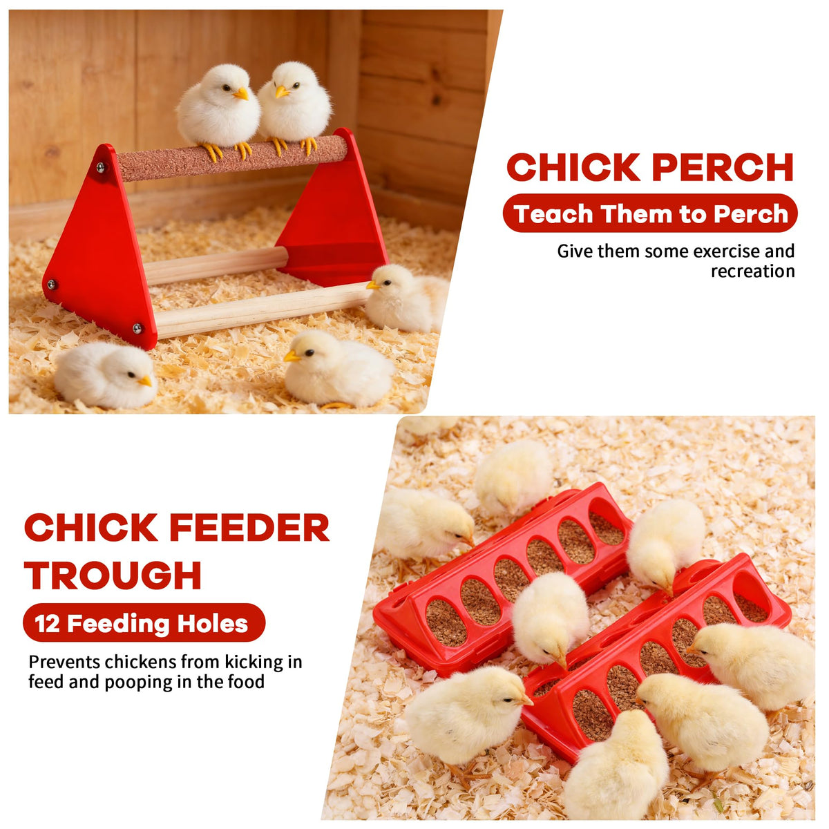 Leadinor chick waterer with automatic spout for safe hydration.
