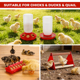 Leadinor wide application for poultry and birds in coop or outdoors.
