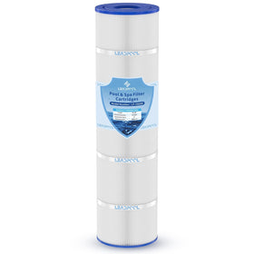 Leadpool Jandy CS200 cartridge compatibility for easy upgrades and maintenance.