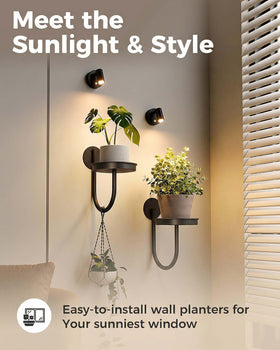Leaf&lull wall-mounted grow lights support indoor plant health.