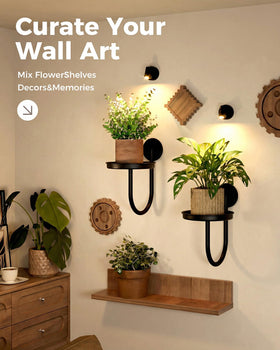 Leaf&lull modern wall planter set elevates decor and greenery.
