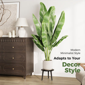 Leaf&lull tall plant stand placed in living room for display