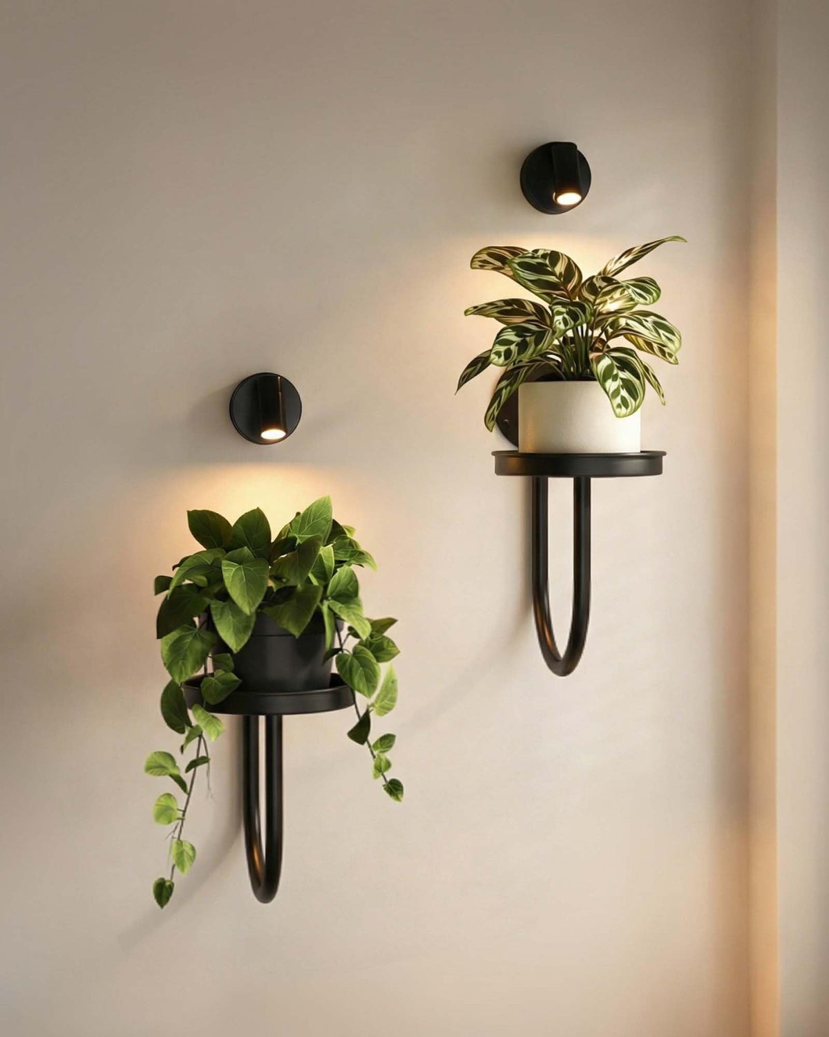 Leaf&lull wall planter with lights on display, ideal for a compact living wall.