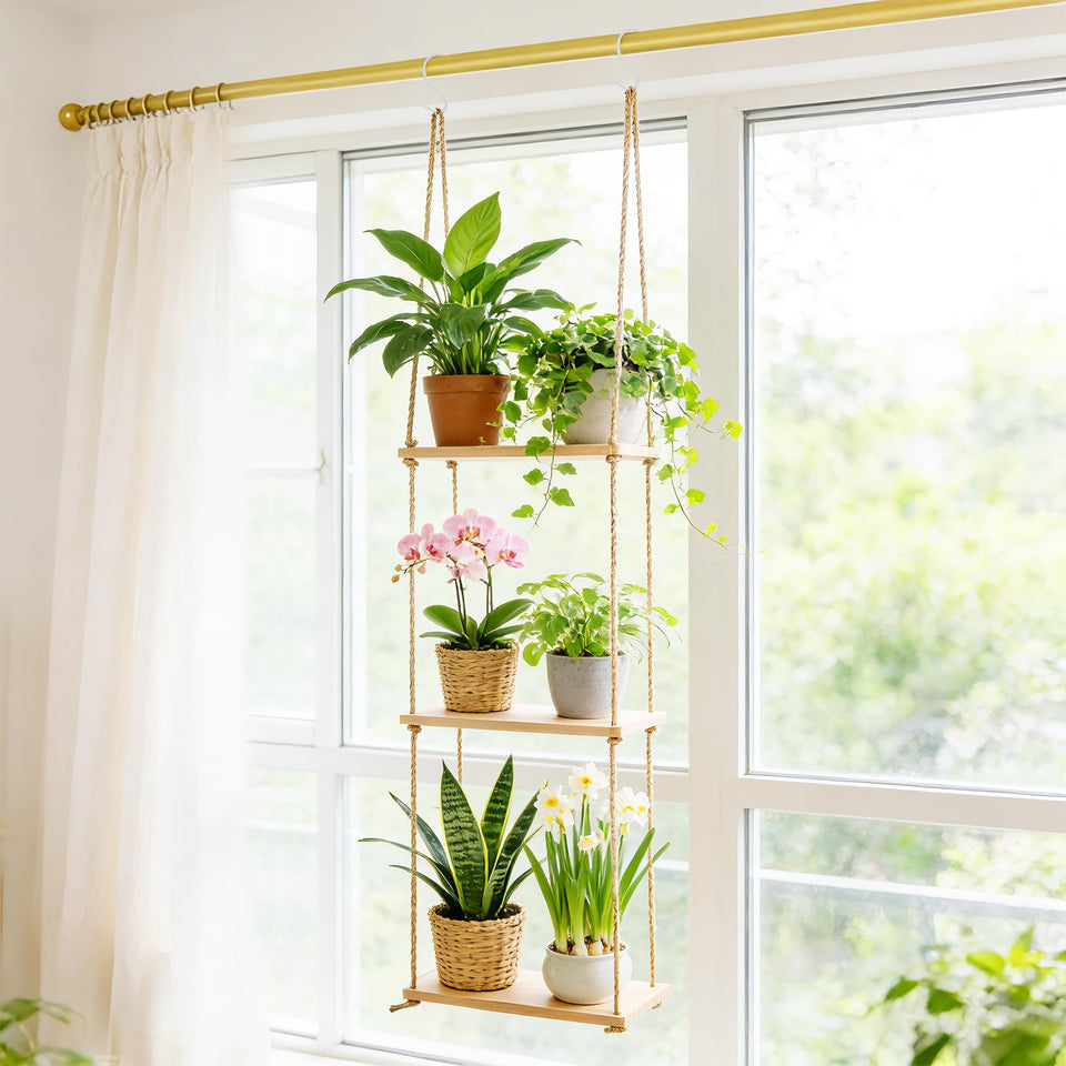 Leafory 3-tier window shelves in hanging wood design ideal for sun-loving succulents