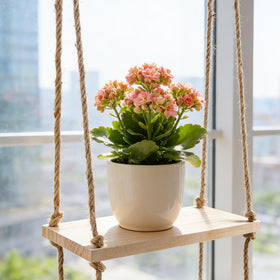 Leafory versatile shelf fits living rooms, bedrooms, and small apartments