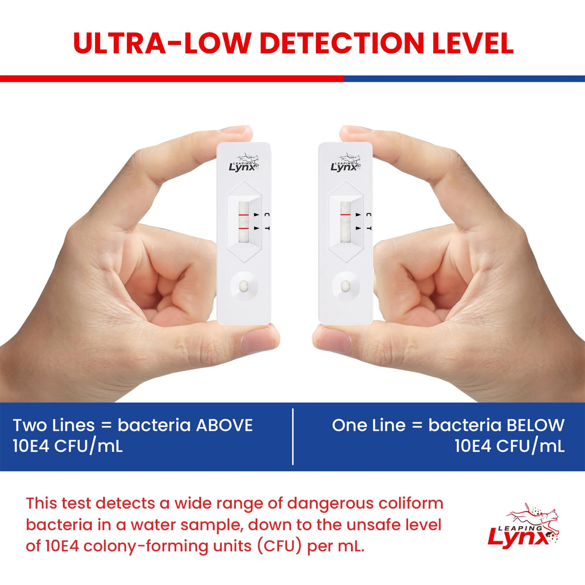 Leaping Lynx results card helps interpret home water tests