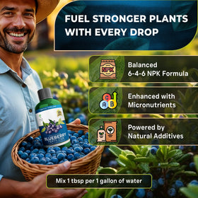 Leaves and Soul 6-4-6 liquid formula supports vibrant blueberry growth.