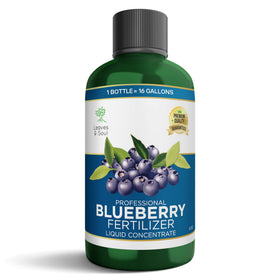 Leaves and Soul blueberry fertilizer bottle boosts root health for containers.