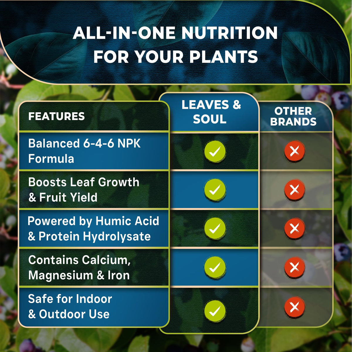 Leaves and Soul blueberry fertilizer is ideal for pots and outdoor plantings.