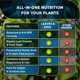 Leaves and Soul blueberry fertilizer is ideal for pots and outdoor plantings.