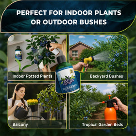 Leaves and Soul fertilizer supports healthy blooms and berry sets in blueberries.