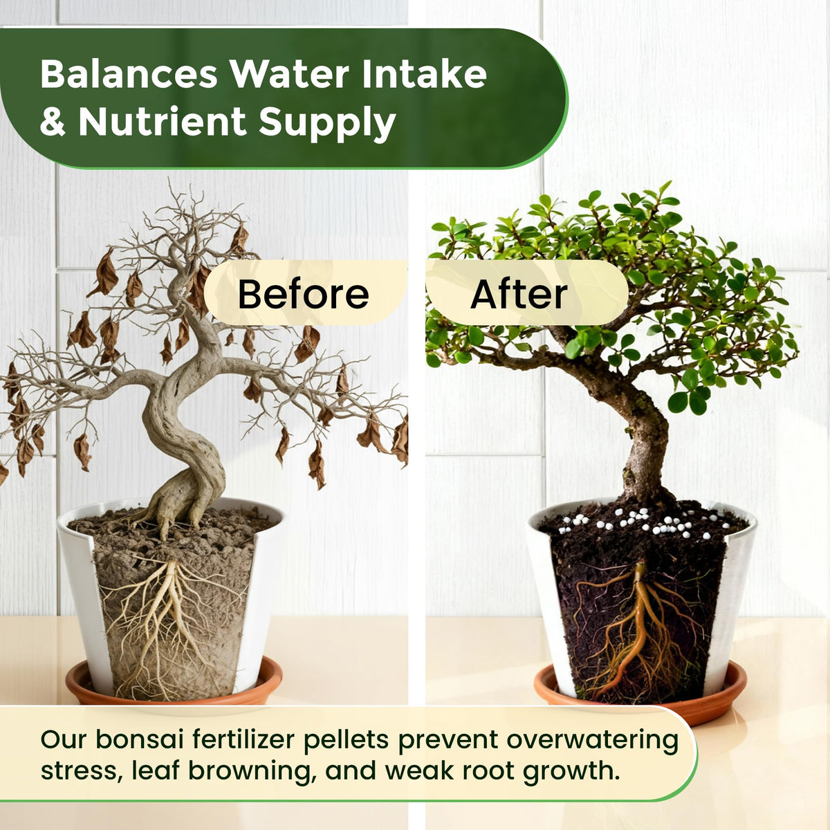 Leaves and Soul bonsai pellets used on a mature tree in a pot