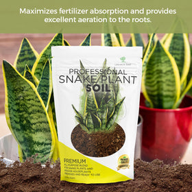 Leaves and Soul fast-draining soil mix supports healthy drainage