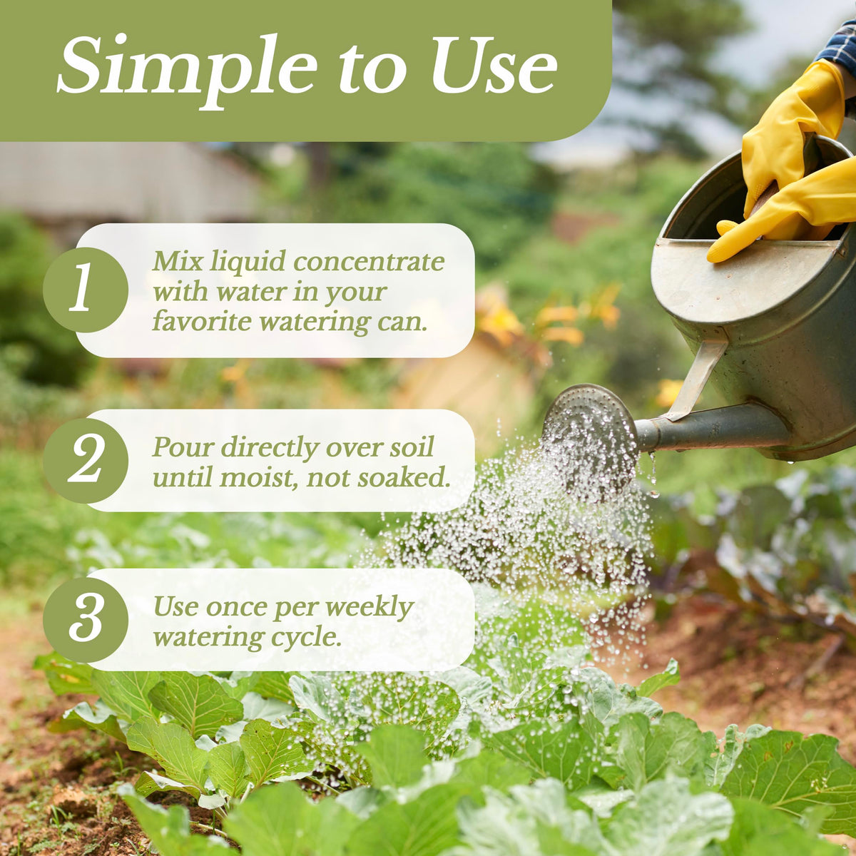 Leaves and Soul melon fertilizer dilution demonstrates easy mixing with water for plants