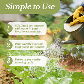 Leaves and Soul melon fertilizer dilution demonstrates easy mixing with water for plants