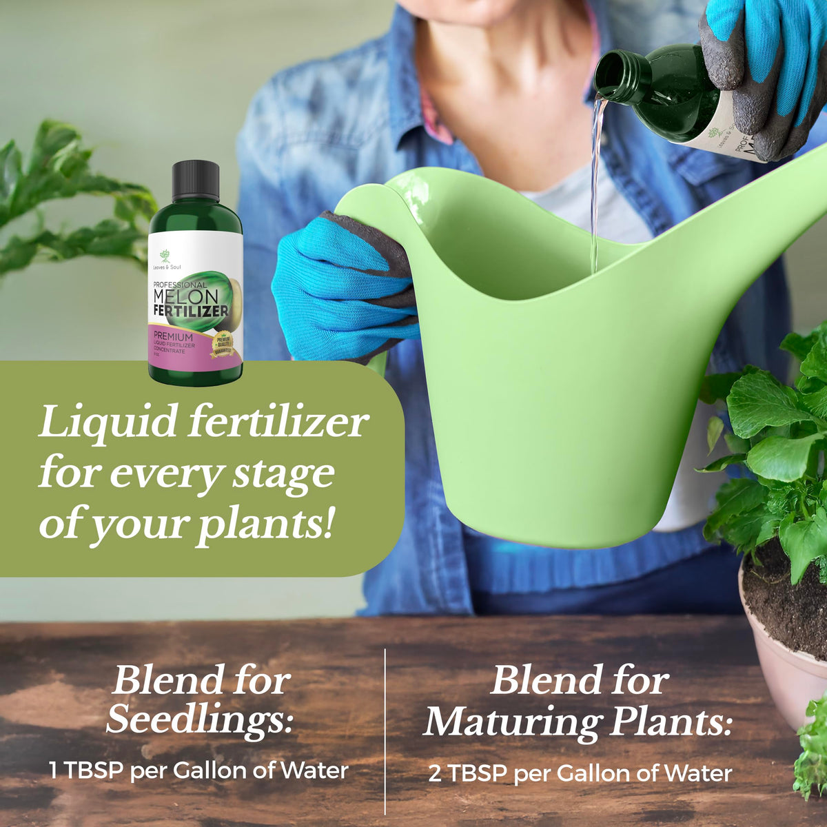 Leaves and Soul melon root health promotes strong root systems for better uptake