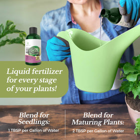 Leaves and Soul melon root health promotes strong root systems for better uptake