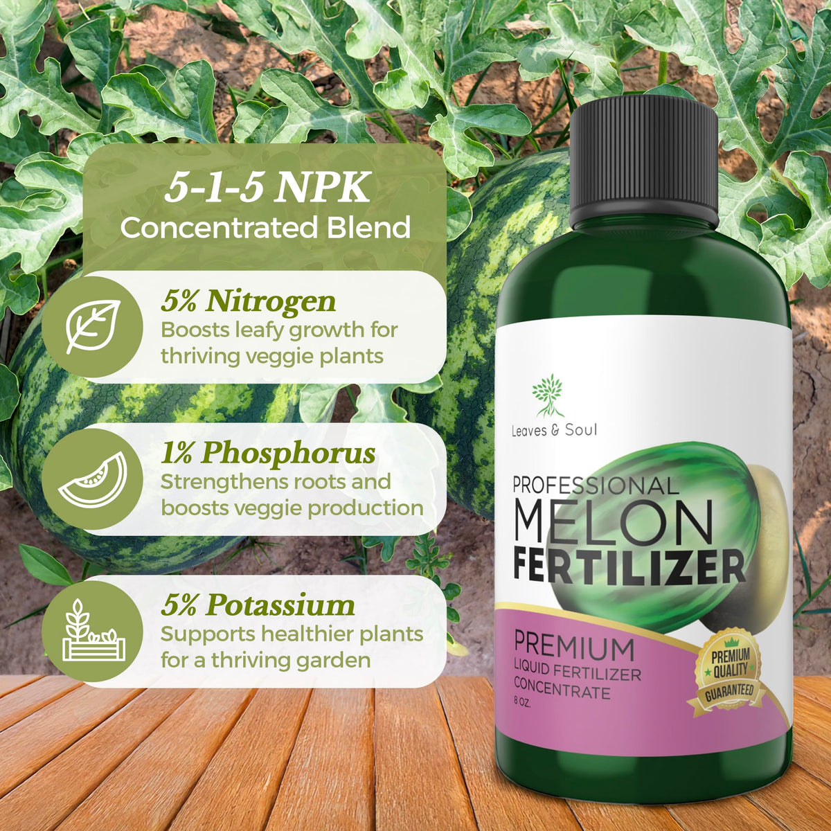 Leaves and Soul melon vine growth supports vigorous vines and steady fruit development