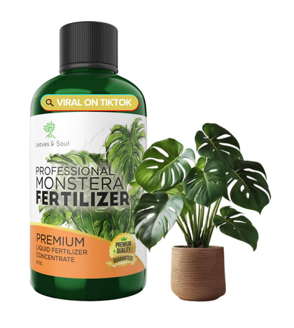 Leaves and Soul Monstera fertilizer bottle front; boosts indoor plant growth.