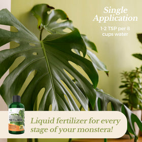 Leaves and Soul Monstera fertilizer dilution guide image; simple mixing for healthy care.