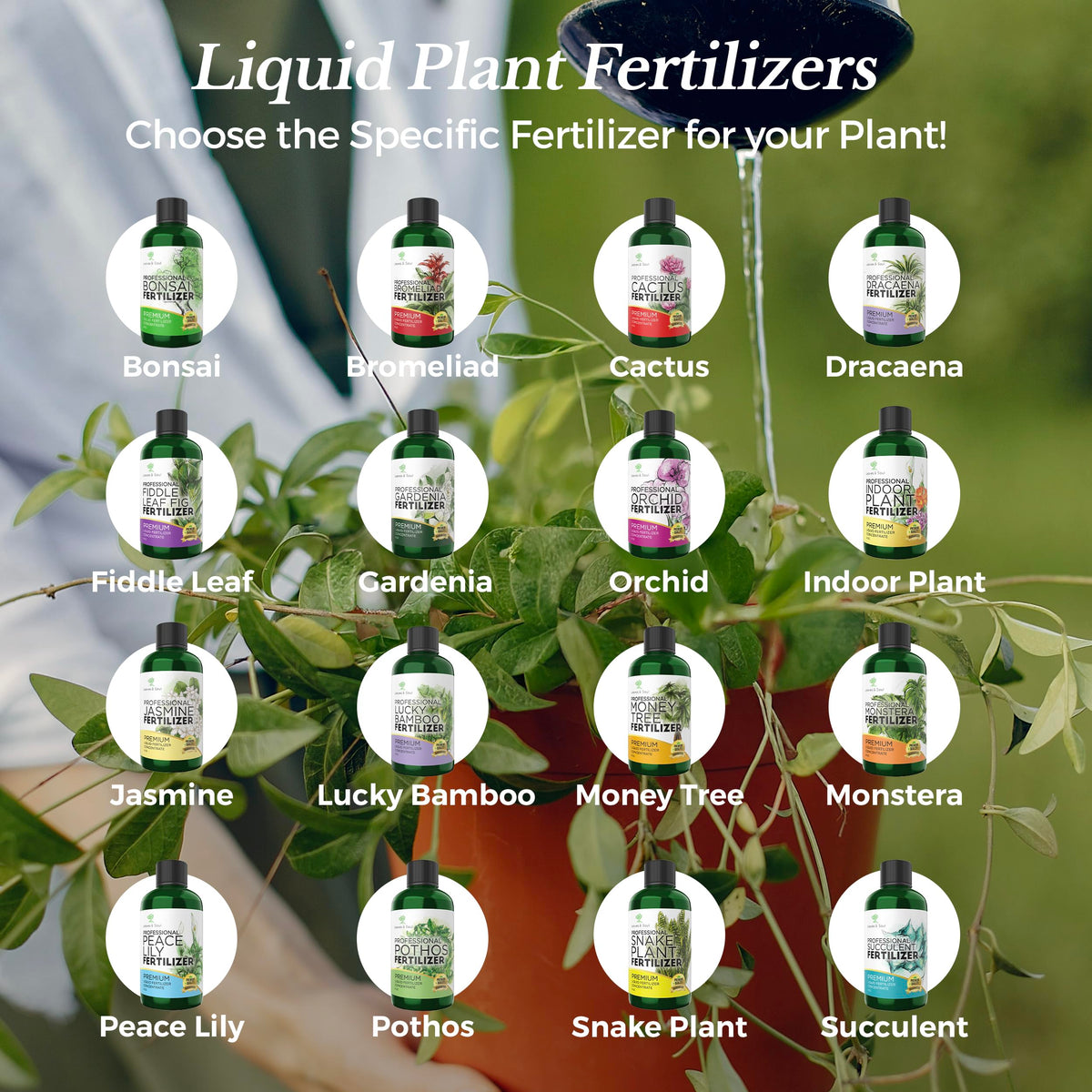Leaves and Soul Monstera packaging USA; durable 8 oz bottle, quality assured.