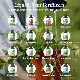 Leaves and Soul Monstera packaging USA; durable 8 oz bottle, quality assured.