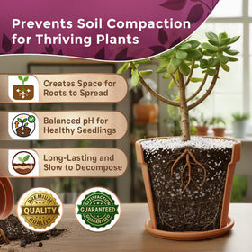 Leaves and Soul perlite suits many plant types for easy mixing into potting soil.
