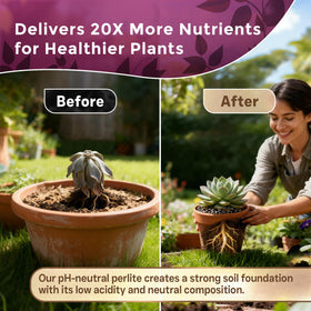 Leaves and Soul perlite soil aeration promotes root growth in both pots and beds.