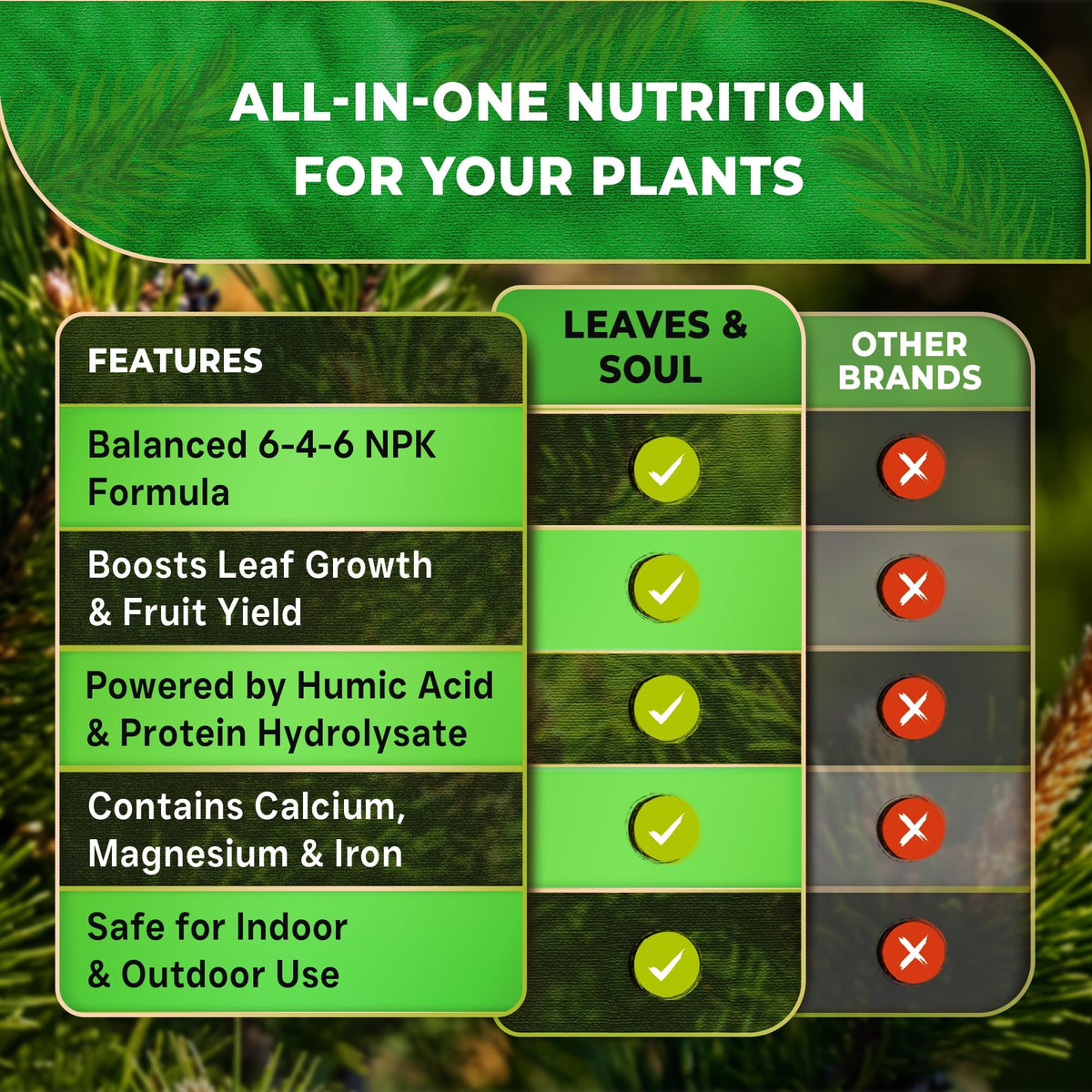 Leaves and Soul Pine Tree Fertilizer needles and lush green foliage