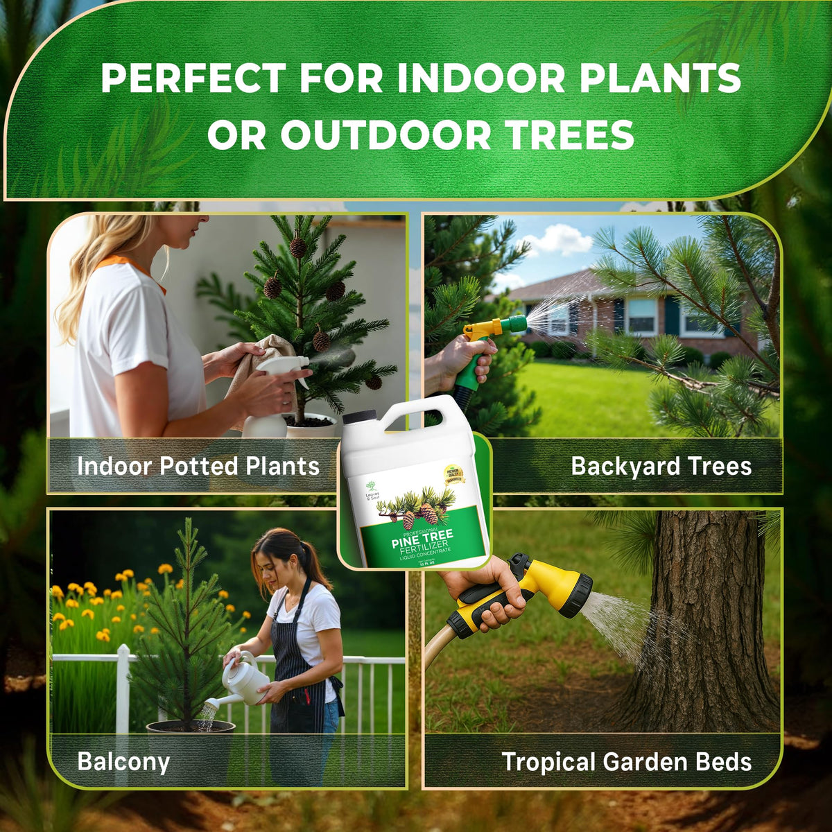 Leaves and Soul Pine Tree Fertilizer outdoor landscape vibrant green hedges
