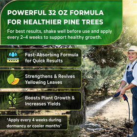 Leaves and Soul Pine Tree Fertilizer privacy hedge healthy growth