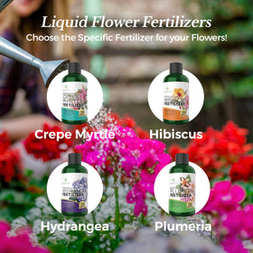 Leaves and Soul fast-absorption formula delivering nutrients to roots